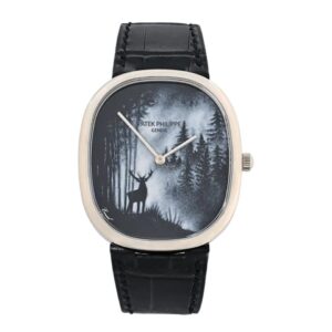 Patek Philippe 5738/50G-030 – “Forest in the Mist” Luxury Edition