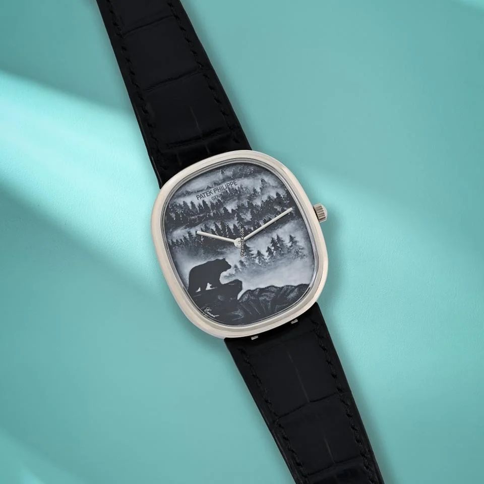 Patek Philippe 5738/50G-034 – “Forest in the Mist” Edition