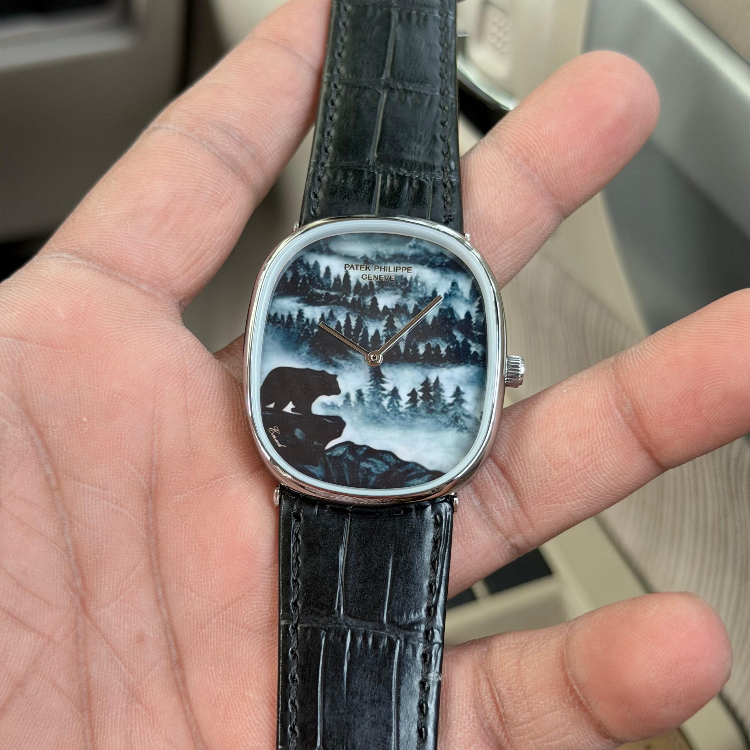 Patek Philippe 5738/50G-034 – “Forest in the Mist” Edition - Image 2