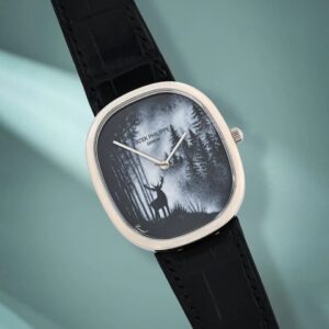 Patek Philippe 5738/50G-030 – “Forest in the Mist” Luxury Edition